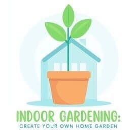 Indoor Gardening Create Your Own Home Garden image